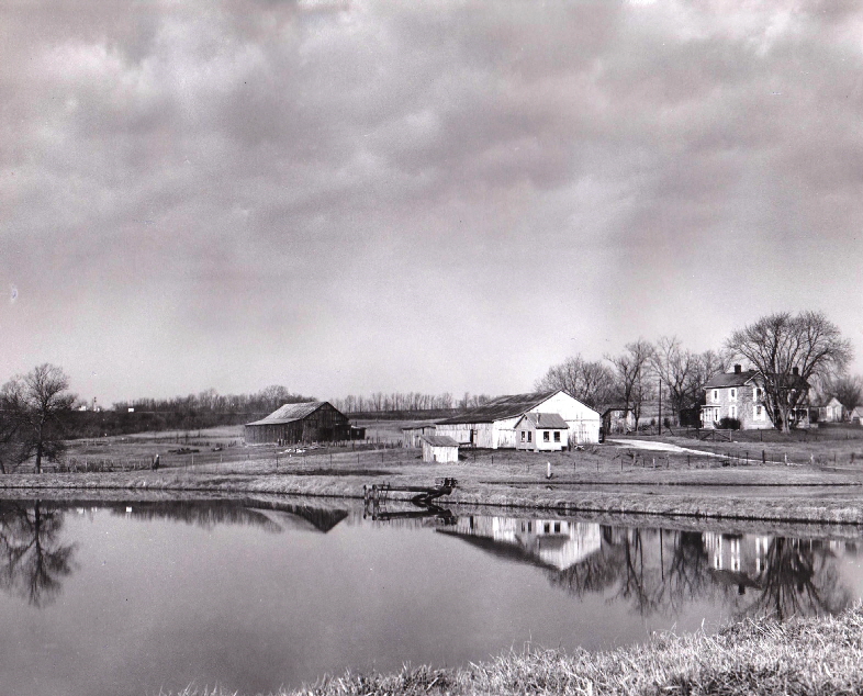 Farm on Muddy Creek Pike