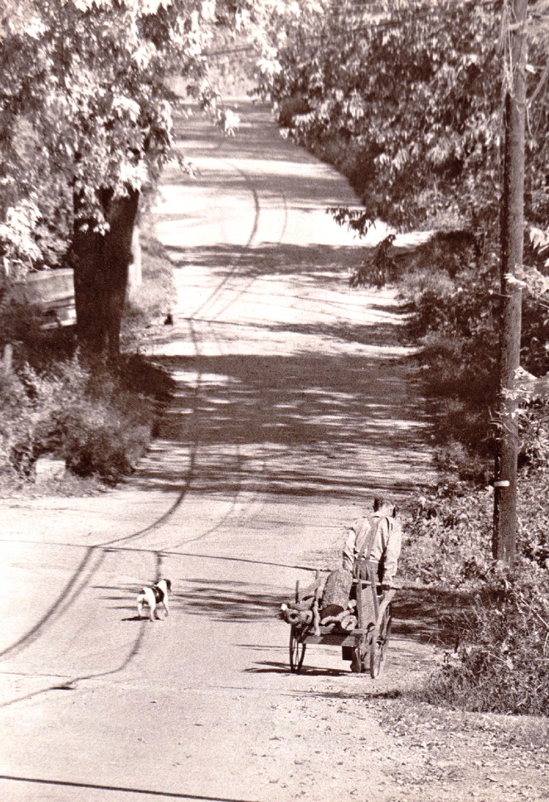 Grant Chism from Ford- gathering wood 1978