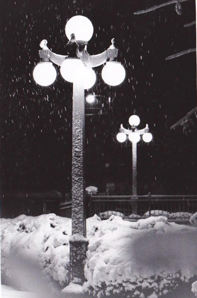 Lamp Post in the snow