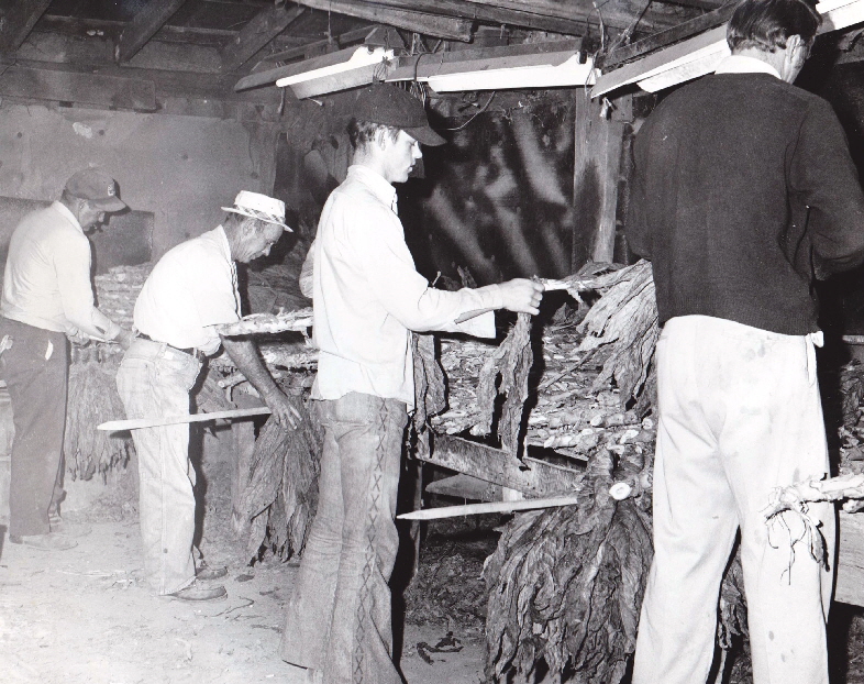 Wilba Stacy, Earnest Powell, Gary Townsend and Prewitt VanMeter on Nelson P. VanMeter, Jr. Farm