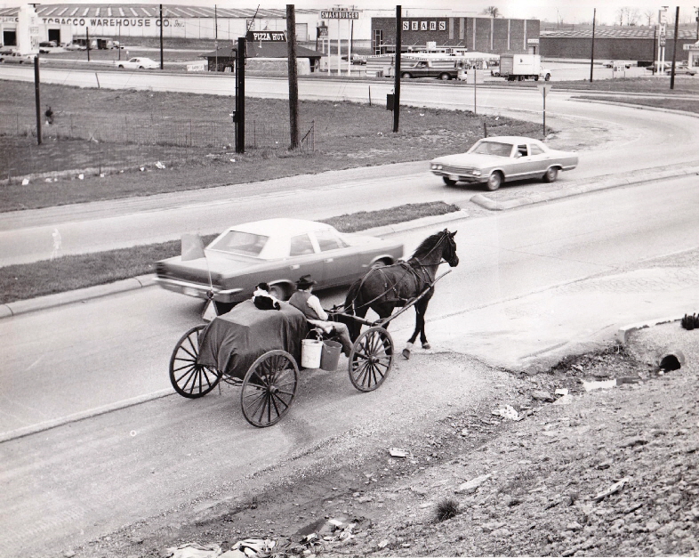 Horse and Buggy on Bypass